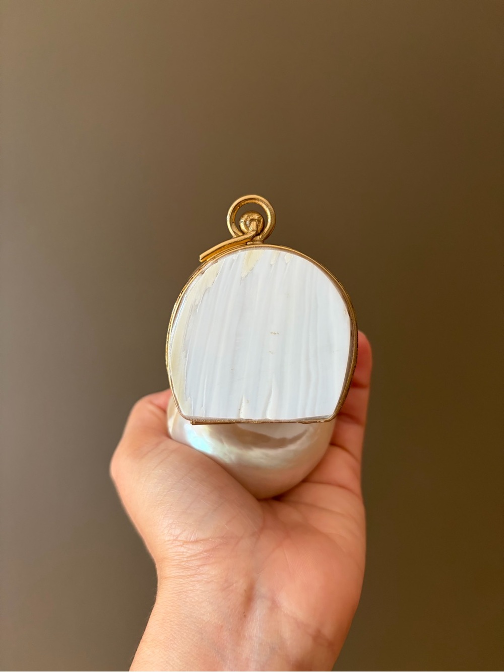 Gold and Cream Shell Clutch - Picture 15 of 16